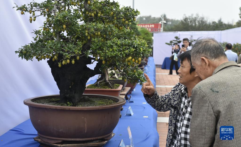 天九娱乐开户